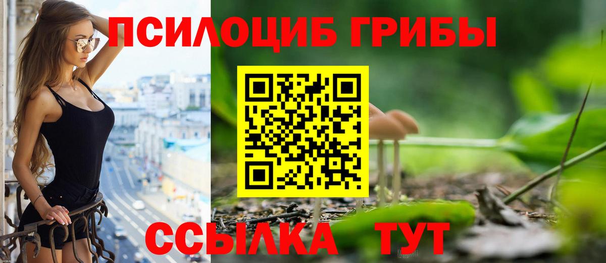 Галлюциногенные грибы прущие грибы  Вход с VPN  Раменское 